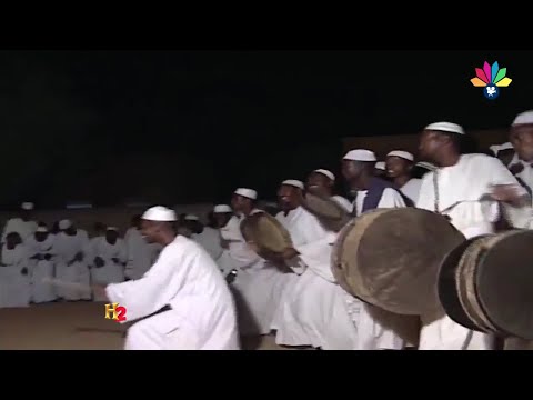 أولاد الشيخ البرعي علماء البواطن