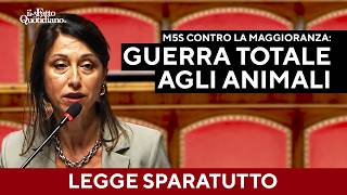 “Cacciatori dentro casa? Spiegatelo agli italiani”: M5S all’attacco in Senato