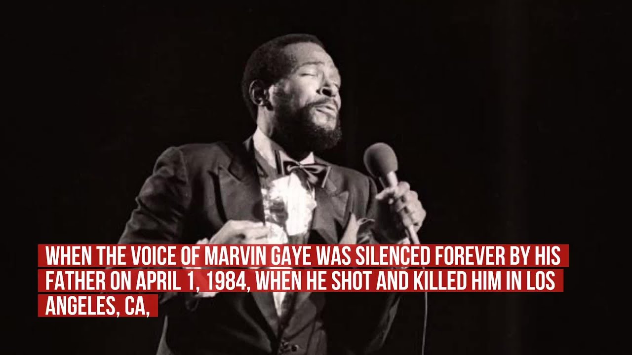 Marvin Gaye, Social Consciousness: Struggle Continues