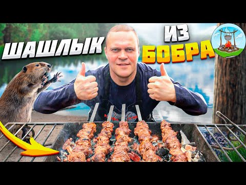 ШАШЛЫК ИЗ МЯСА БОБРА !!!  COOKING BEAVOR MEAT !!!