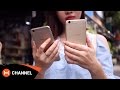Perbandingan Spesifikasi Vivo V5 Vs Oppo F1s: Mana yang Lebih Unggul?