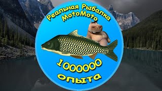картинка: 😱 Фарм 1000000 опыта за 1,5 часа 💪 [NEW] | Реальная Рыбалка