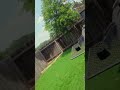 High temp paint for smoker