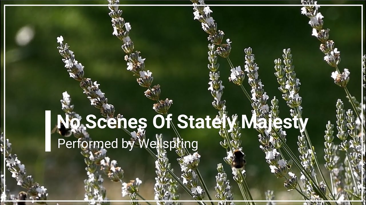 Watch No Scenes of Stately Majesty Graham Kendrick with Lyrics (4K) on YouTube Watch No Scenes of Stately Majesty Graham Kendrick with Lyrics (4K) on YouTube