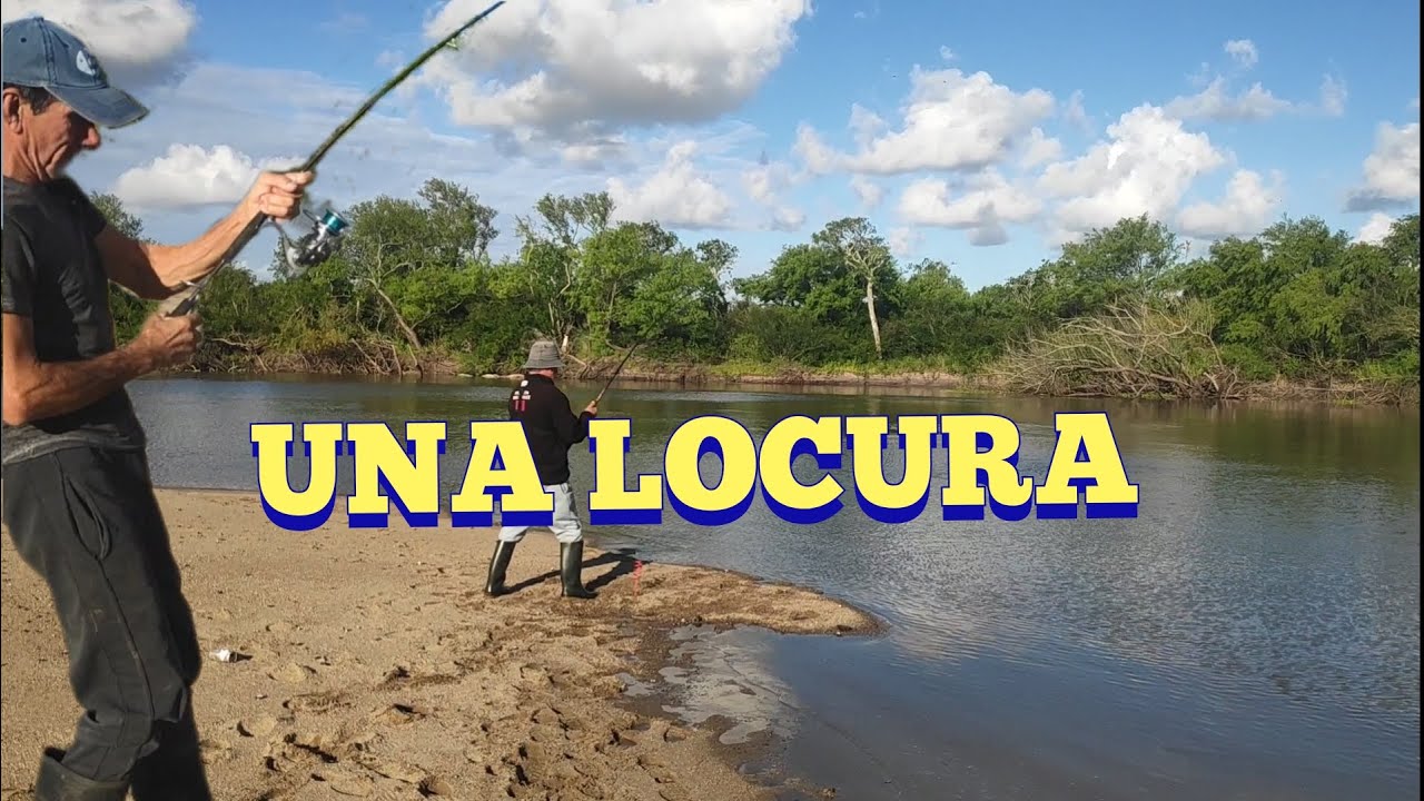 Una de nuestra mejores pescas, impresionante lo que se pescó