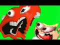 Youtube Thumbnail title
