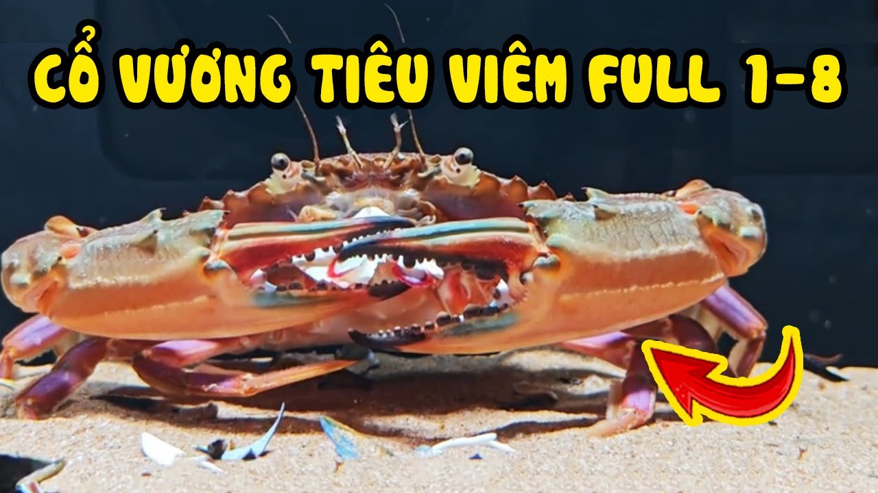 CỔ VƯƠNG TIÊU VIÊM - Chiến Thần Bất Bại Full Tập 1-8