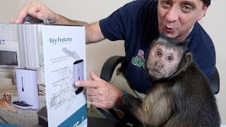 Monkey Unboxing Automatic Pet Feeder! (WOPET)