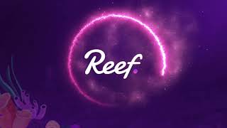 Unlock the Power of Developer Incentives on Reef Chain screenshot 1