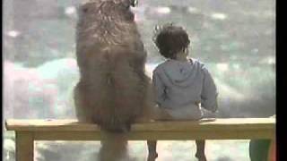 野田幹子 ほほにかかる涙 - YouTube