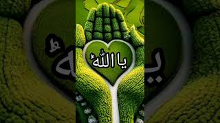 Download Lagu inshallah bhai #allah #love #islamic #islam #shorts MP3 Download Lagu inshallah bhai #allah #love #islamic #islam #shorts MP3