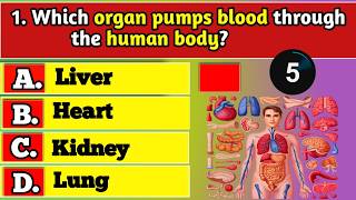 General Knowledge Trivia Quiz | Test Your Brain with Fun Questions & Ultimate Challenge Today!