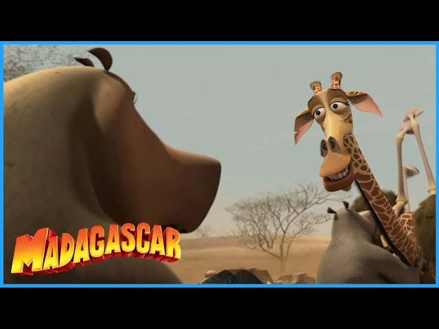 YARN, Melman, I want you to meet Moto Moto., Madagascar: Escape 2 Africa  (2008), Video clips by quotes, 277df1b0