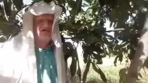 سورة قريش كاملا عامر جبو