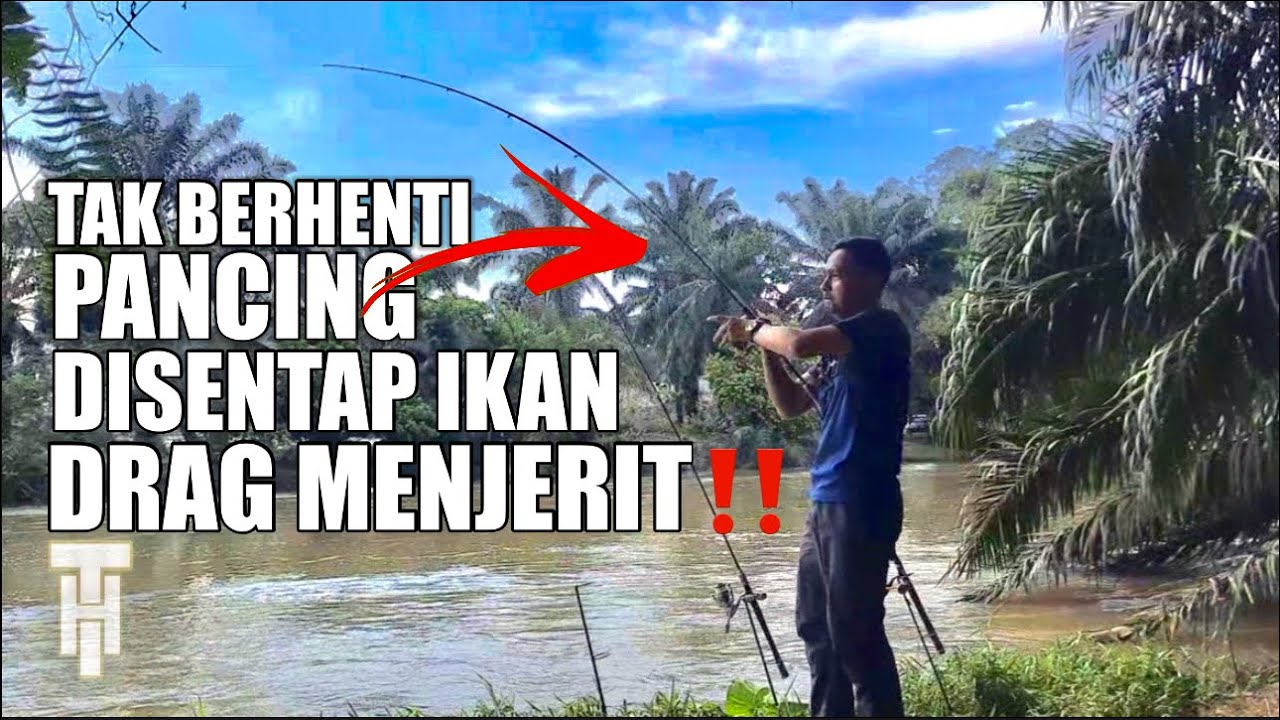PECAH REKOD ! STRIKE TAK HENTI SEMUA PADU PADU ‼️ SEMUA PEMANCING MAHUKAN SPOT MACAM NI