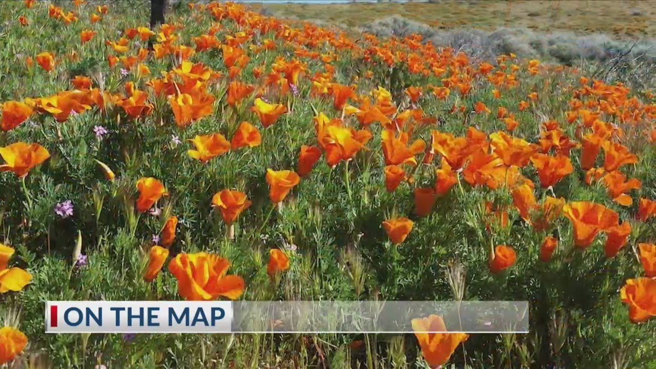 On The Map CutlerOrosi YouTube