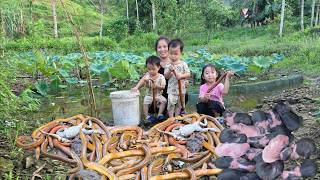 Single Mother Catches and Cooks Giant Eels, Welcoming a New Family Member | Ly tieu tieu