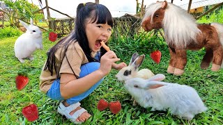 Naik Kuda dan Kasih Makan Kelinci Lucu, Main di Playground Kuda Kudaan sambil Panen Strawberry