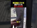 毎日庭にゴミを投げていた犯人の正体