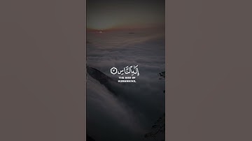 سورة الناس - القارئ : ماهر المعيقلي ||