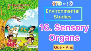 16. Sensory Organs | Std - 3 | Environmental Studies | Questions Answers | English Medium | MH Board