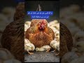 مولا! اولاد کی تکلیف سے ہمیں محفوظ فرما#MotherLove#Emotional#HeartT#viral#MotherCe#Dua#Mother#shorts