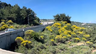 Enjoying summer #travel vlog 