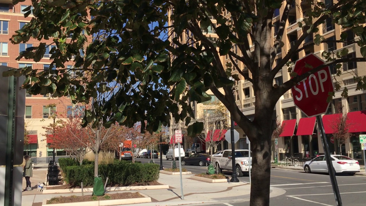 Tysons corner furniture experts movers by Furniture Moving Helpers