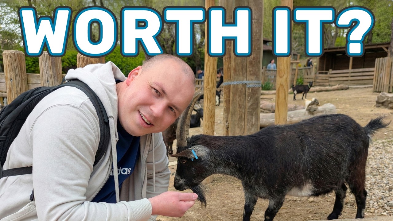 Zoo Aquarium Madrid Guide: Is It Worth Visiting? (Pandas, Sharks & More)! 🇪🇸