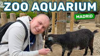 Zoo Aquarium Madrid - An Epic Day at Madrid Zoo! 🇪🇸