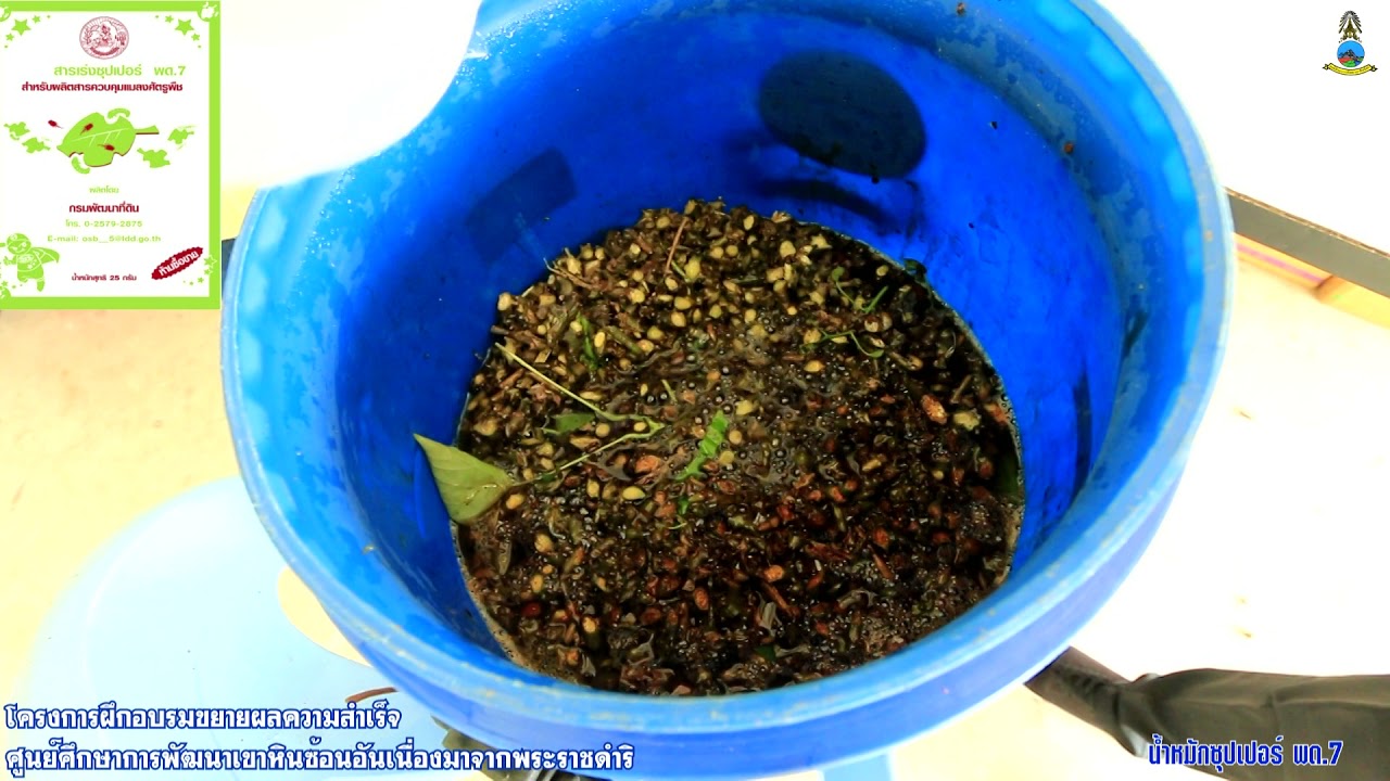 การผลิตสารควบคุมแมลงศัตรูพืช ด้วยสารเร่งซุปเปอร์ พด.7