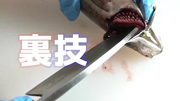 魚エラ動き方 Mp3