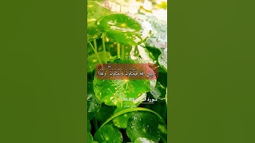 سورة التوبة الاية 110-111