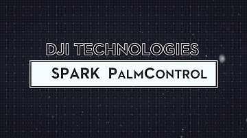 DJI — Technologies: PalmControl