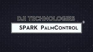 DJI — Technologies: PalmControl
