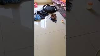 Dodo Ni Ajak Bobo Dikamar berukkusahabatku beruklucu