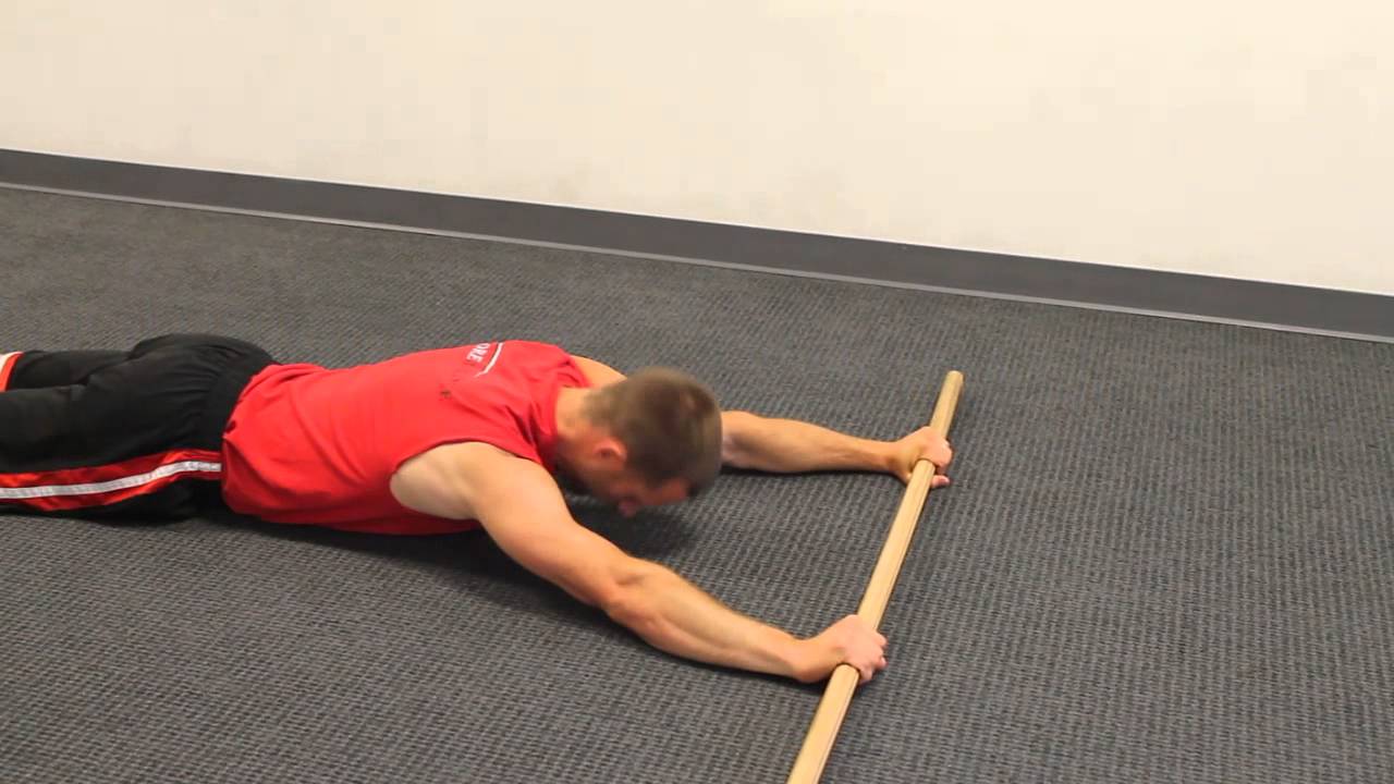 exercise 14.1 class 11 Prone Arm Raises Bilateral