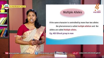 KITE VICTERS Plus Two Zoology Class 19 (First Bell-ഫസ്റ്റ് ബെല്‍)