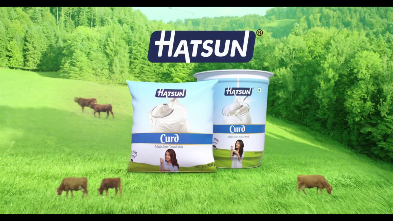 Hatsun Curd TV Commercial Kannada  Iris Films Ad Film Company Chennai