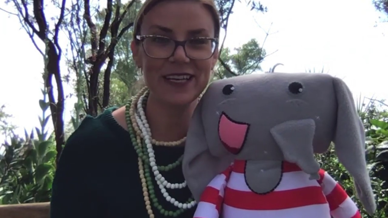 Tippie Vlak 1: Boek 1