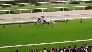 2015年 天皇賞(春) ゴールドシップ観客にお披露目 - YouTube