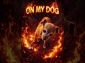 ON MY DOG — SILLY