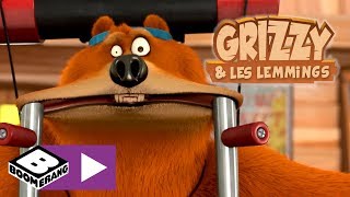 Tous au sport ! | Grizzy & les lemmings | Boomerang Resimi