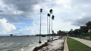 Nice windy squalls Tampa Bay St. Petersburg North Shore Vinoy Park Rain Wind October 7, 2025 