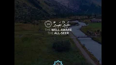 خليفة الطنيجي/سورة الشورى/صوت يقتل حزنك♥️⛅️/حالات واتساب القران/حالات واتس دينية