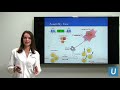 CAR T at UCLA: Driving the Progress of Engineered Cell Therapy | Sarah Larson, MD | UCLAMDChat