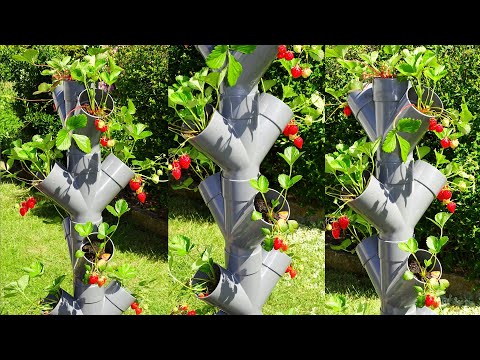 Vidéo: Tour de jardin maison – Idées pour construire une tour de jardin