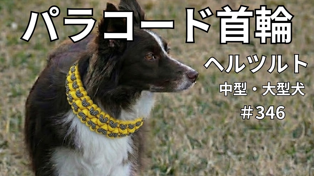 Paracord Braided Dog/Cat Collar] #346 