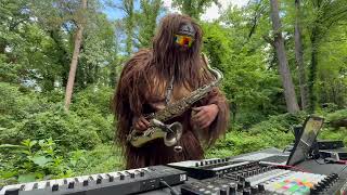 Download Lagu Tree Knockin’ MP3