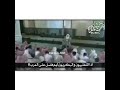 فضل قبيلة عنزه على العرب